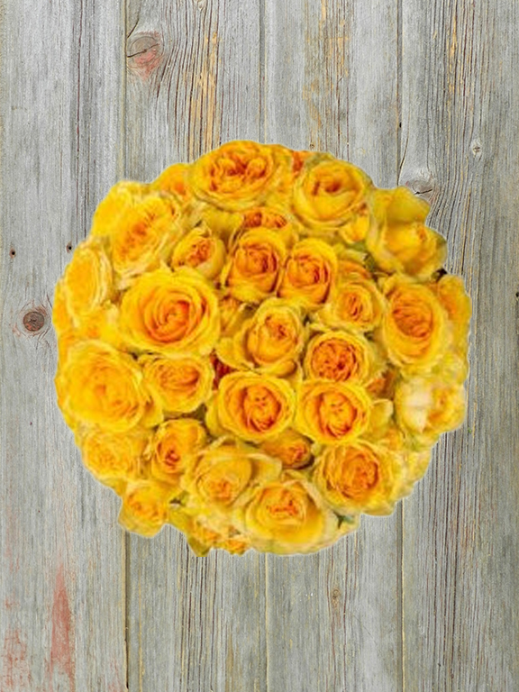 BRILLIANT STAR  YELLOW  SPRAY ROSES